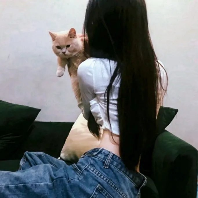 赤血金戈